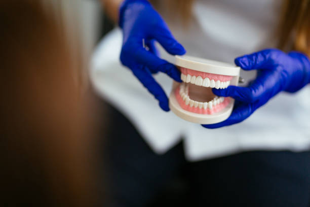 Van, TX Holistic Dental Care Services Company